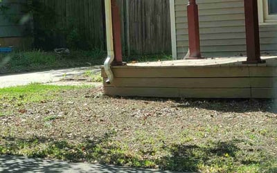 Photo of Nick R.'s yard after getting landscaping in Mulvane, KS