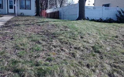 Photo of Amanda H.'s yard after getting landscaping in Saint Paul, MN