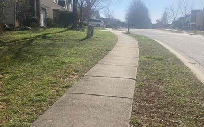Photo of Ginger B.'s yard after getting landscaping in Blackstock, SC