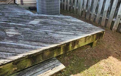 Photo of Melissa V.'s yard after getting landscaping in Centreville, VA
