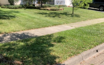 Photo of Michael B.'s yard after getting landscaping in Sugar Grove, OH