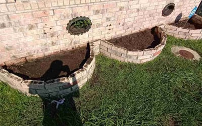 Photo of Deborah J.'s yard after getting landscaping in Destrehan, LA