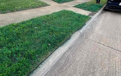 Photo of John P.'s yard after getting landscaping in Garland, TX