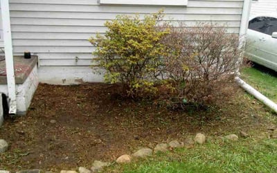 Photo of Jennifer C.'s yard after getting tree care in Canal Winchester, OH