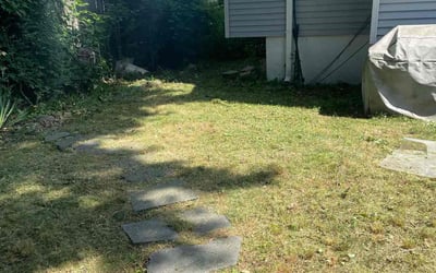 Photo of Dee C.'s yard after getting landscaping in White Plains, NY