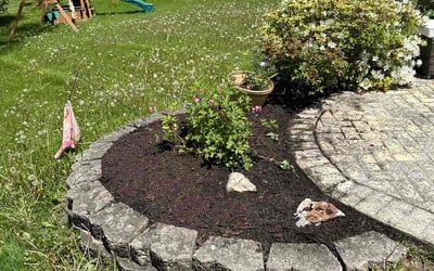 Photo of Brian S.'s yard after getting landscaping in Oswego, IL
