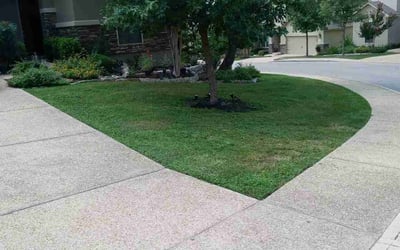 Photo of Angela S.'s yard after getting landscaping in Devine, TX
