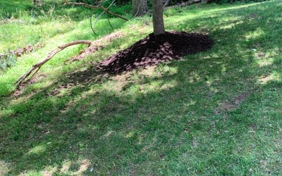 Photo of Erin M.'s yard after getting landscaping in Washington Grove, MD