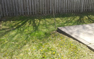 Photo of Robert J.'s yard after getting landscaping in Fairland, IN