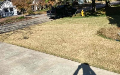Photo of Jennifer S.'s yard after getting landscaping in Okmulgee, OK