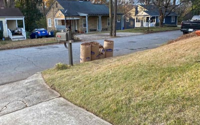 Photo of Sylvia H.'s yard after getting tree care in Canton, GA