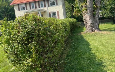 Photo of David B.'s yard after getting landscaping in Aberdeen, OH