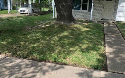 Photo of James G.'s yard after getting landscaping in Powells Point, NC