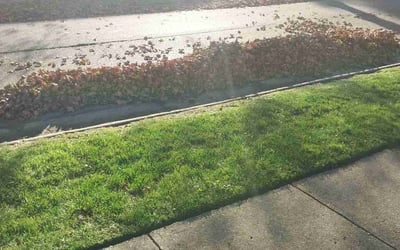Photo of Emily M.'s yard after getting landscaping in Vincentown, NJ