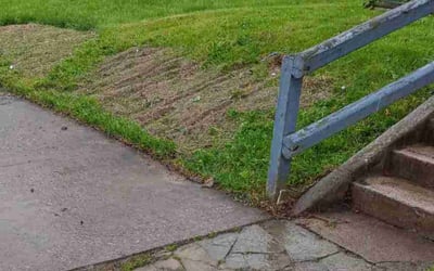 Photo of Gregory D.'s yard after getting landscaping in Toledo, OH