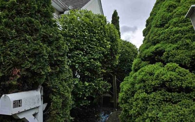 Photo of Eric M.'s yard after getting landscaping in Akron, OH