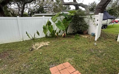 Photo of Barbara H.'s yard after getting tree care in Brooksville, FL