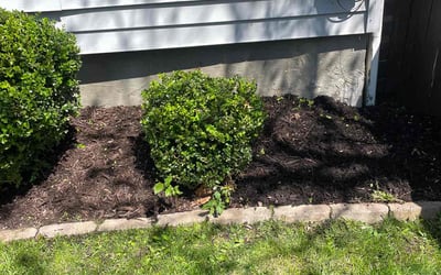 Photo of Jonathan L.'s yard after getting landscaping in Amherst, OH