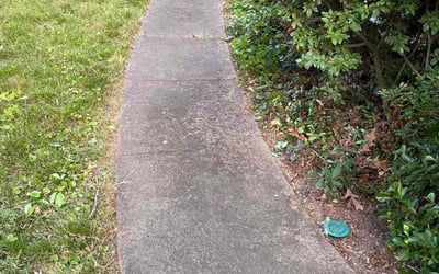 Photo of Sean M.'s yard after getting landscaping in Washington, VA