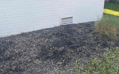 Photo of Nick M.'s yard after getting landscaping in Lightfoot, VA