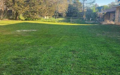 Photo of Jack H.'s yard after getting tree care in Bedford, TX
