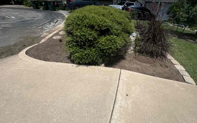 Photo of Sarah L.'s yard after getting landscaping in Driftwood, TX