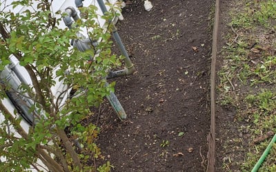 Photo of Laura H.'s yard after getting landscaping in Weston, TX