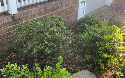 Photo of Sarah T.'s yard after getting landscaping in Aydlett, NC