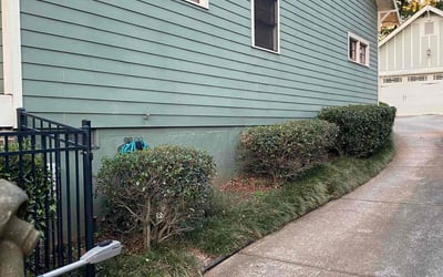 Photo of Eric M.'s yard after getting landscaping in Holly Springs, GA
