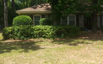 Photo of Sharon H.'s yard after getting tree care in Johns Island, SC