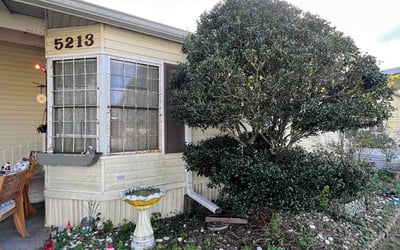 Photo of Simone S.'s yard after getting tree care in Lakeland, FL