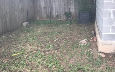 Photo of Raymond B.'s yard after getting tree care in Hutto, TX