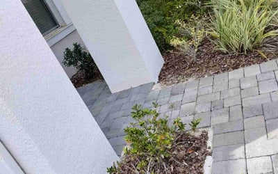 Photo of Emilia V.'s yard after getting tree care in Lake Mary, FL