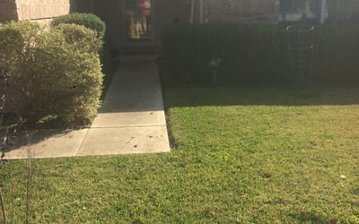 Photo of Brittany K.'s yard after getting landscaping in Jourdanton, TX