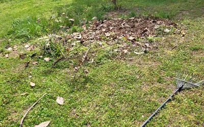 Photo of Robert S.'s yard after getting landscaping in Mechanicsville, VA