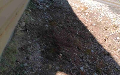 Photo of David S.'s yard after getting landscaping in Lake Stevens, WA