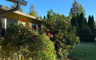 Photo of Anthony D.'s yard after getting landscaping in Scappoose, OR