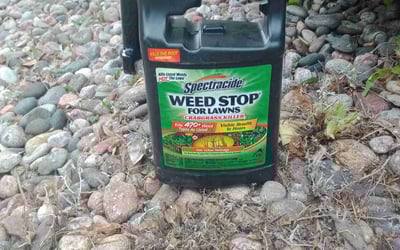 Photo of Lori B.'s yard after getting landscaping in Colorado Springs, CO