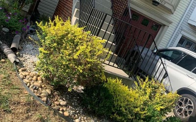 Photo of R. F.'s yard after getting tree care in Amissville, VA