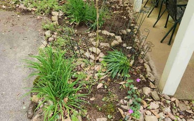 Photo of John V.'s yard after getting landscaping in Canton, GA
