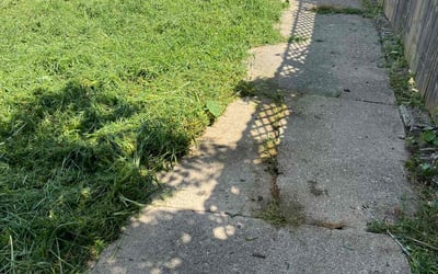 Photo of Deborah F.'s yard after getting tree care in Columbus, OH