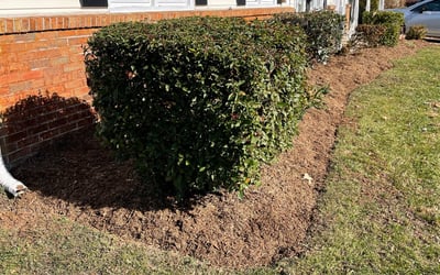 Photo of Susan W.'s yard after getting landscaping in Grimstead, VA