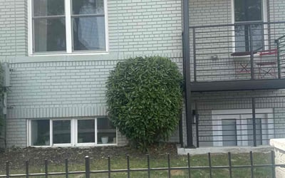 Photo of Lisa S.'s yard after getting landscaping in Washington, DC