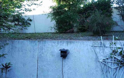 Photo of Jeffrey H.'s yard after getting landscaping in Lady Lake, FL