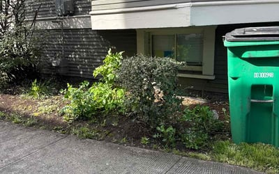 Photo of Tom G.'s yard after getting landscaping in Portland, OR