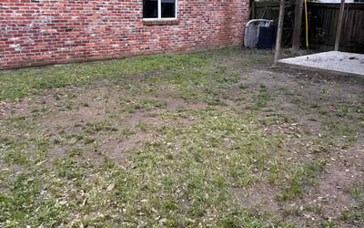 Photo of Jason B.'s yard after getting landscaping in Baton Rouge, LA