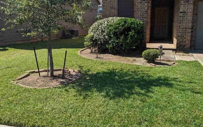 Photo of Kathy C.'s yard after getting tree care in Conroe, TX