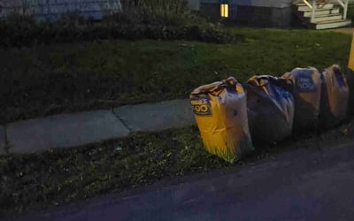 Photo of James H.'s yard after getting landscaping in Syracuse, NY