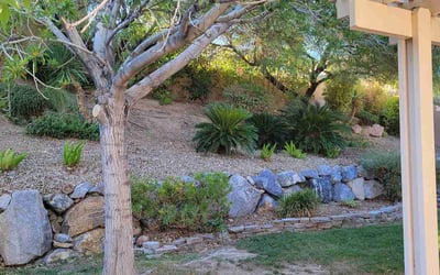 Photo of Donna B.'s yard after getting landscaping in Logandale, NV