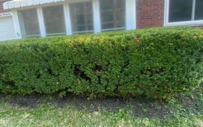 Photo of Terry L.'s yard after getting lawn care in West Chester, OH